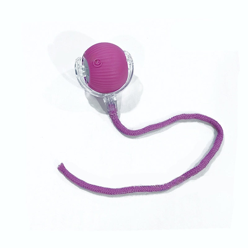 Smart Pet Rolling Ball with Teaser Sensor