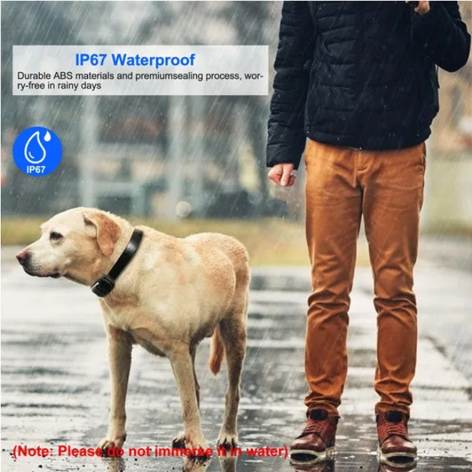 Dog Training Collar Receiver IP67 Waterproof
