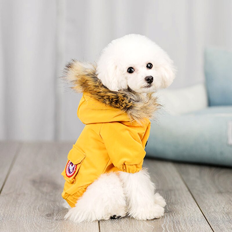 Dog Jacket Wool Hat Cotton Clothes
