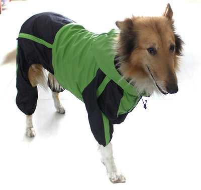 Large Dog Raincoat
