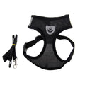 Dog Harness and Leash Fashionable High-end Multi-colour