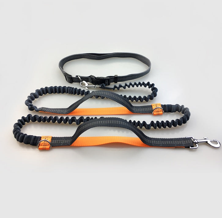 Double Elastic Handfree Dog Leash