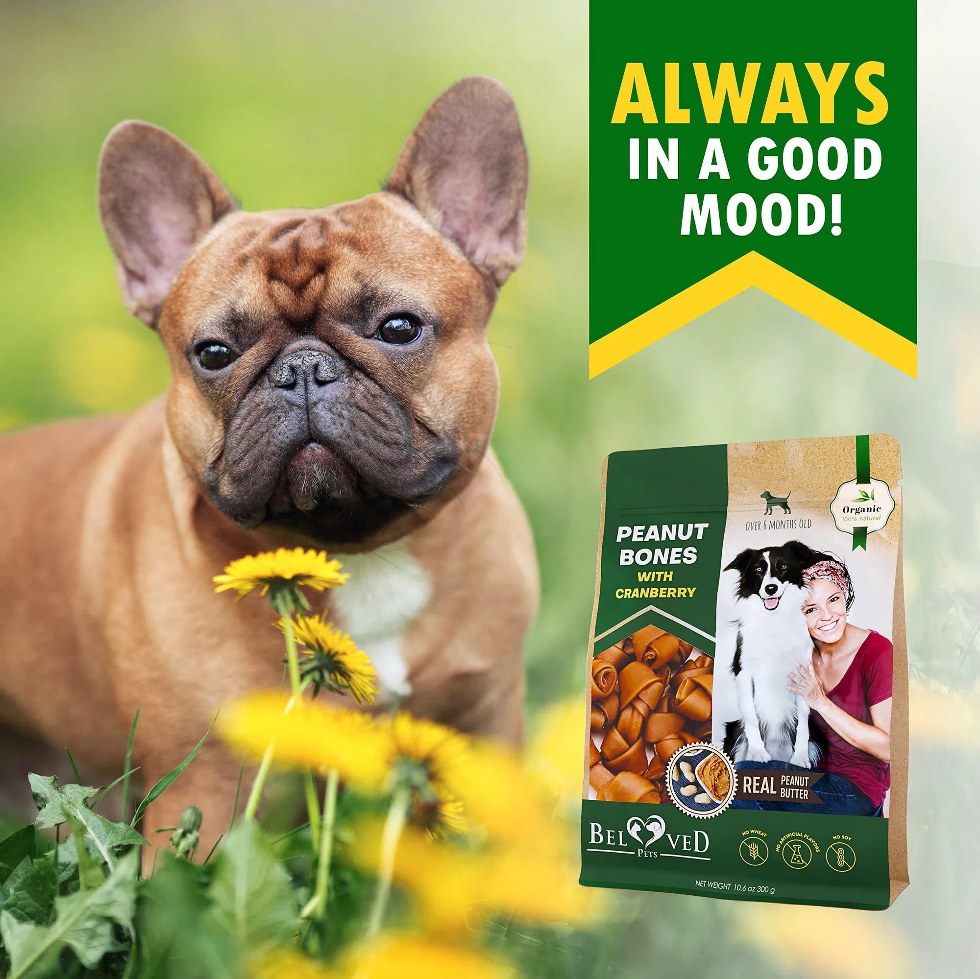 Dog Peanut Butter Bones with Cranberry Rawhide Free Chew Treats, Organic Snacks Healthy Collagen & Bulk Best Chews