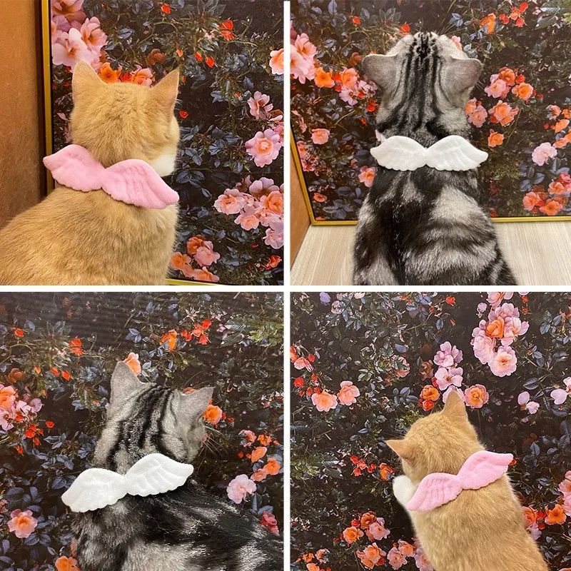 White Collar Angel Wing Neck Butterfly Tie