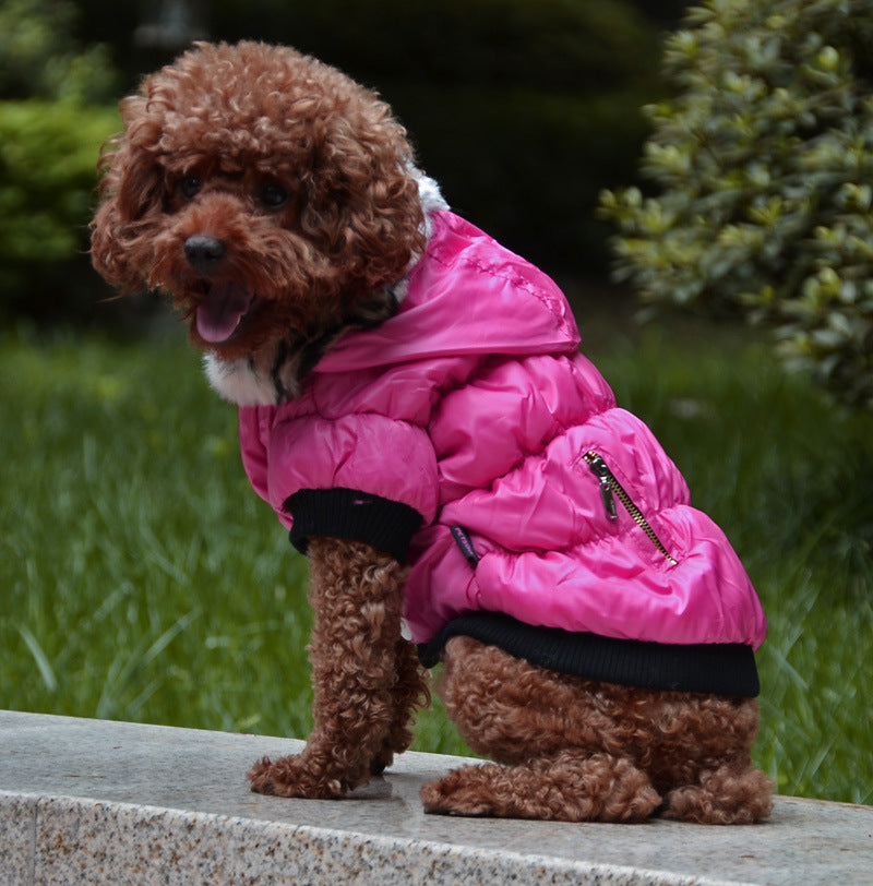 Zippered Cotton Padded Jacket For Pets