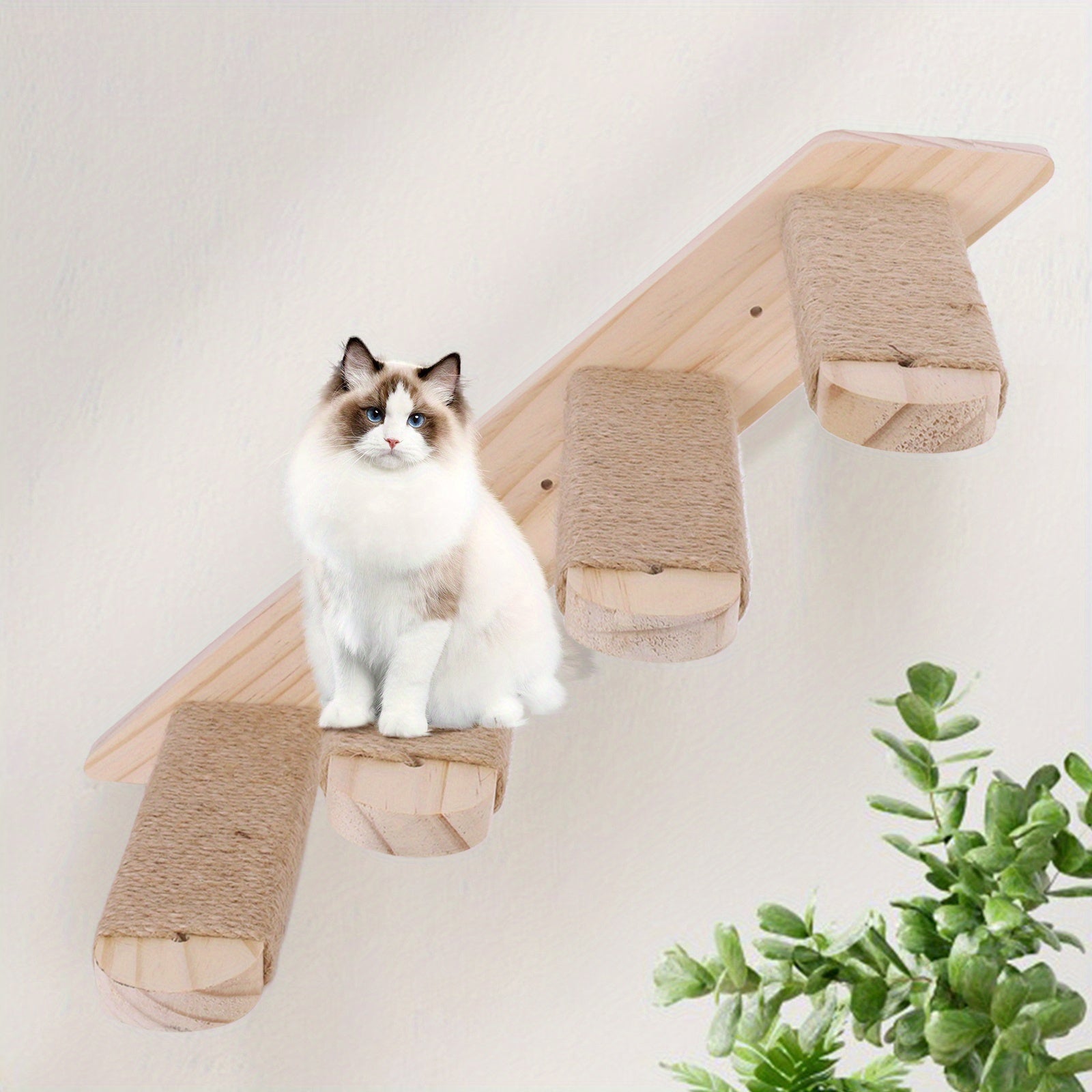 Cat Ladder Frame