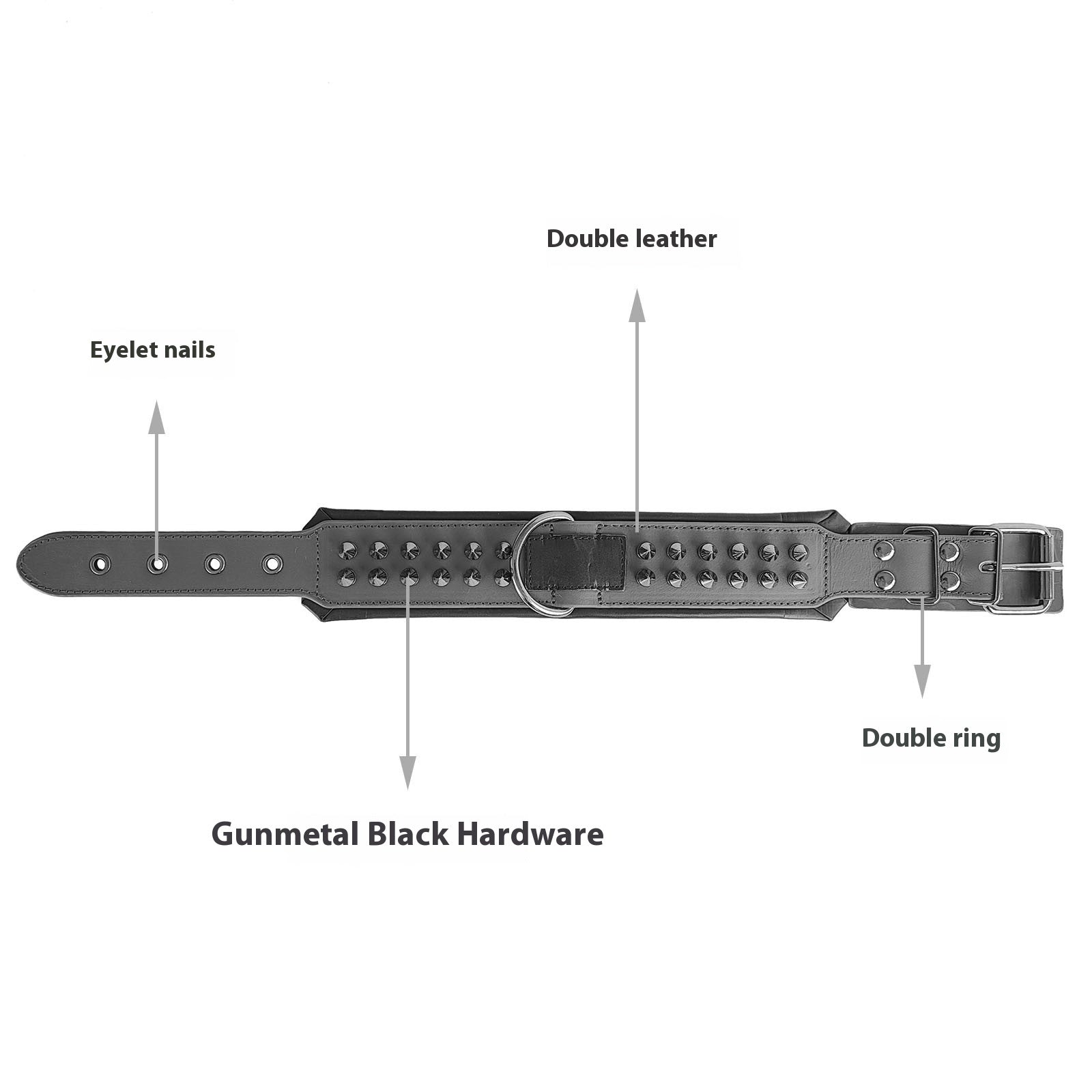 Leather Dog Collar with Spikes