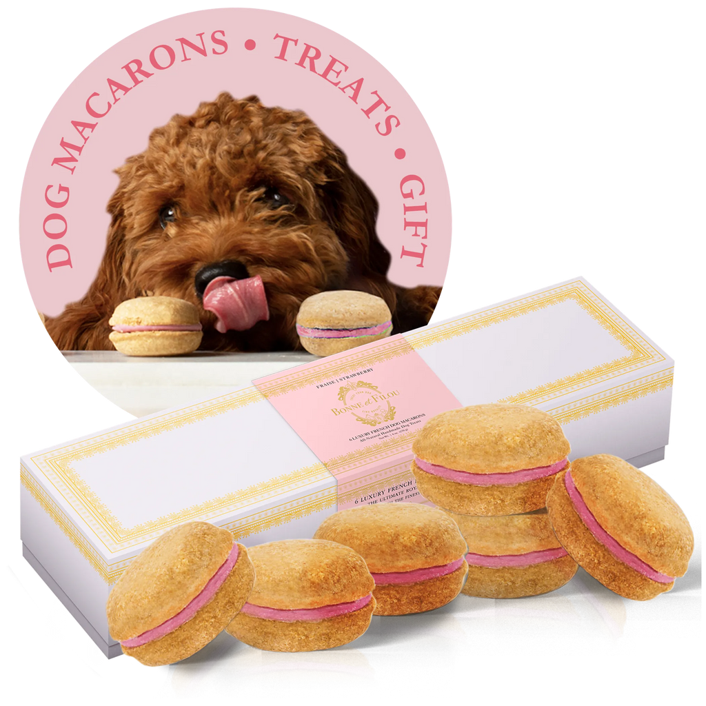 Dog Macarons - Box of 6 (Available in Multiple Flavors)