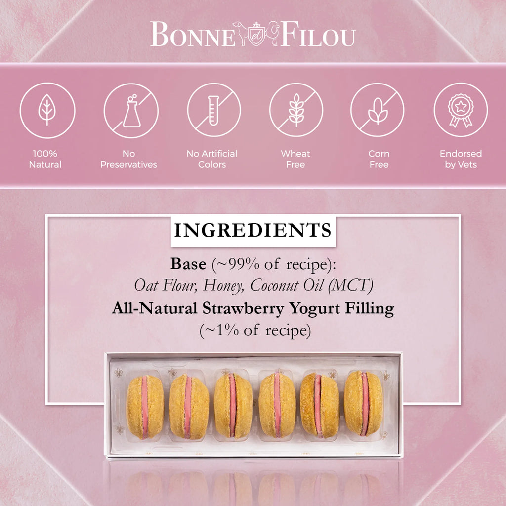 Dog Macarons - Box of 6 (Available in Multiple Flavors)