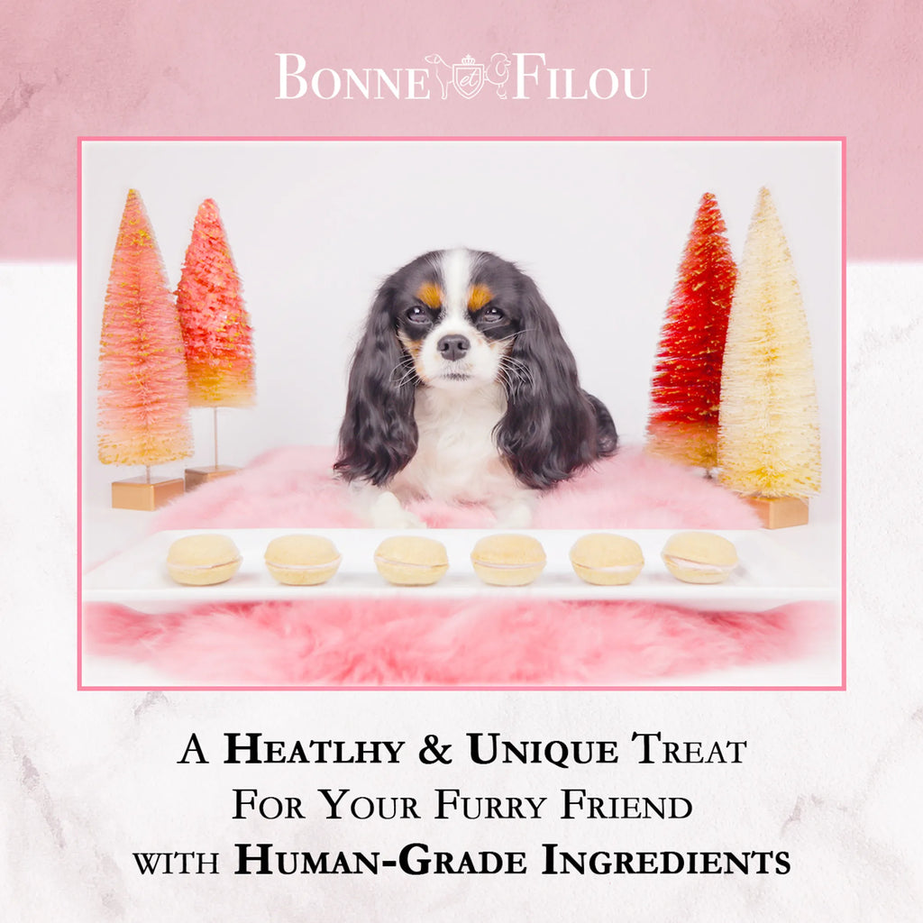 Dog Macarons - Box of 6 (Available in Multiple Flavors)