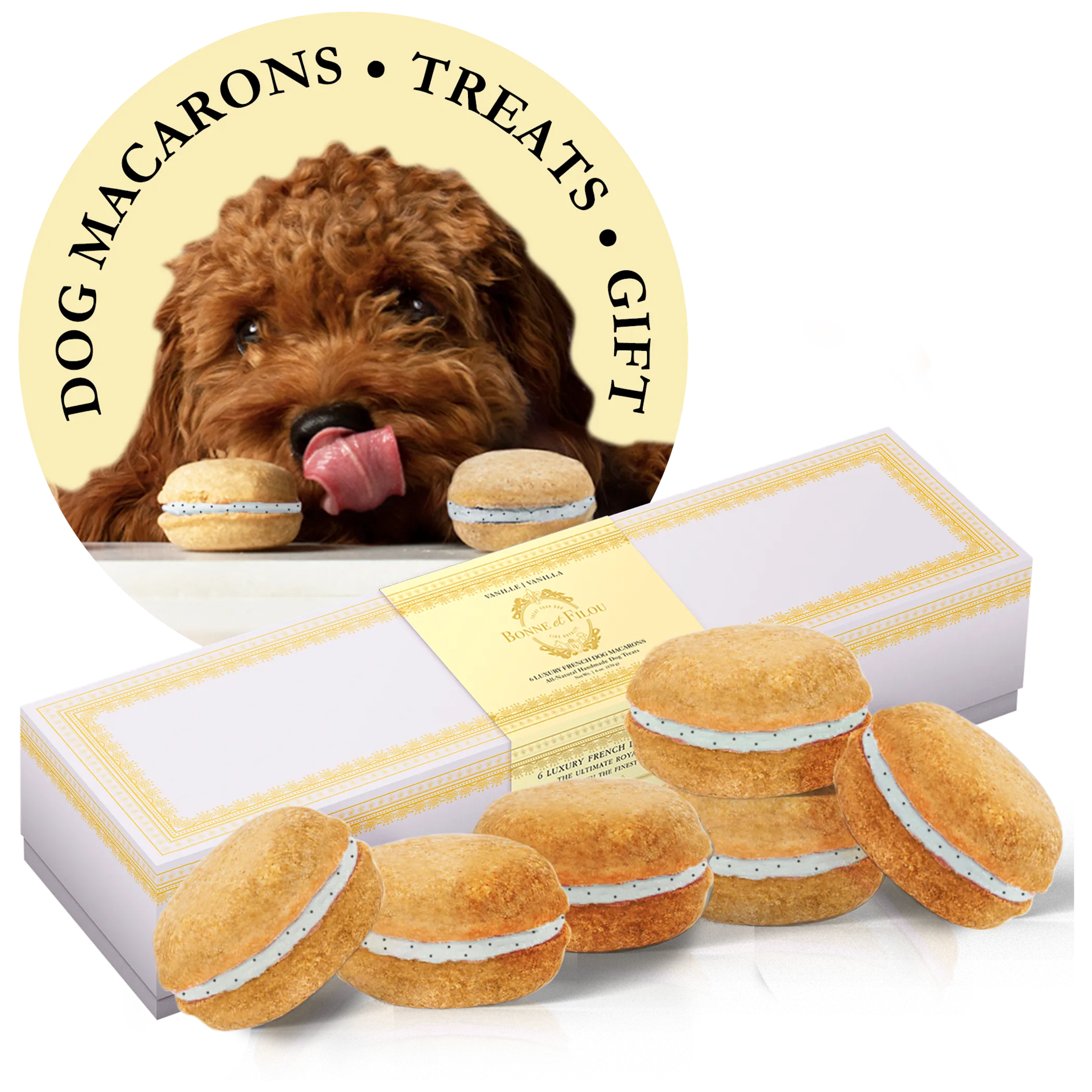 Dog Macarons - Box of 6 (Available in Multiple Flavors)