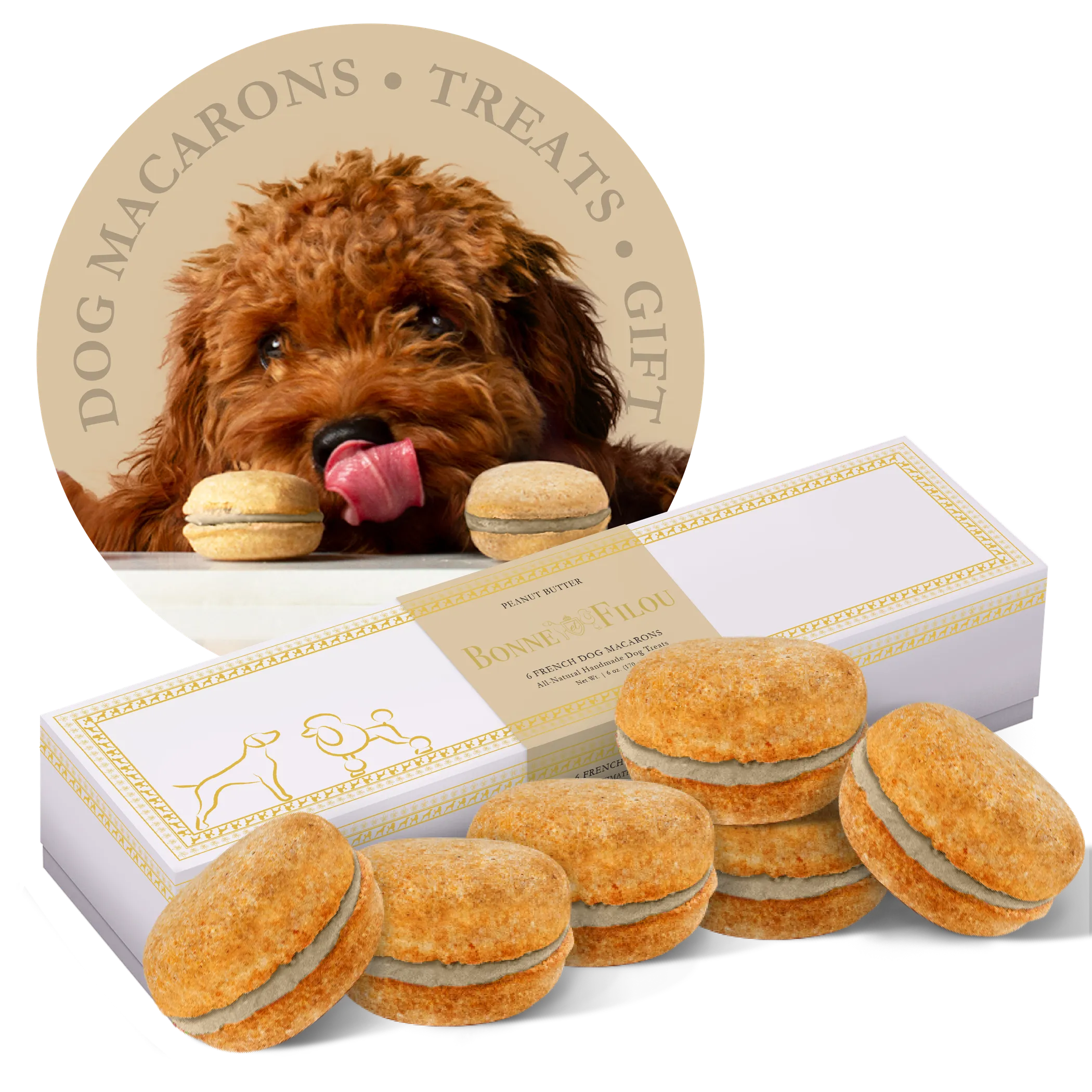 Dog Macarons - Box of 6 (Available in Multiple Flavors)