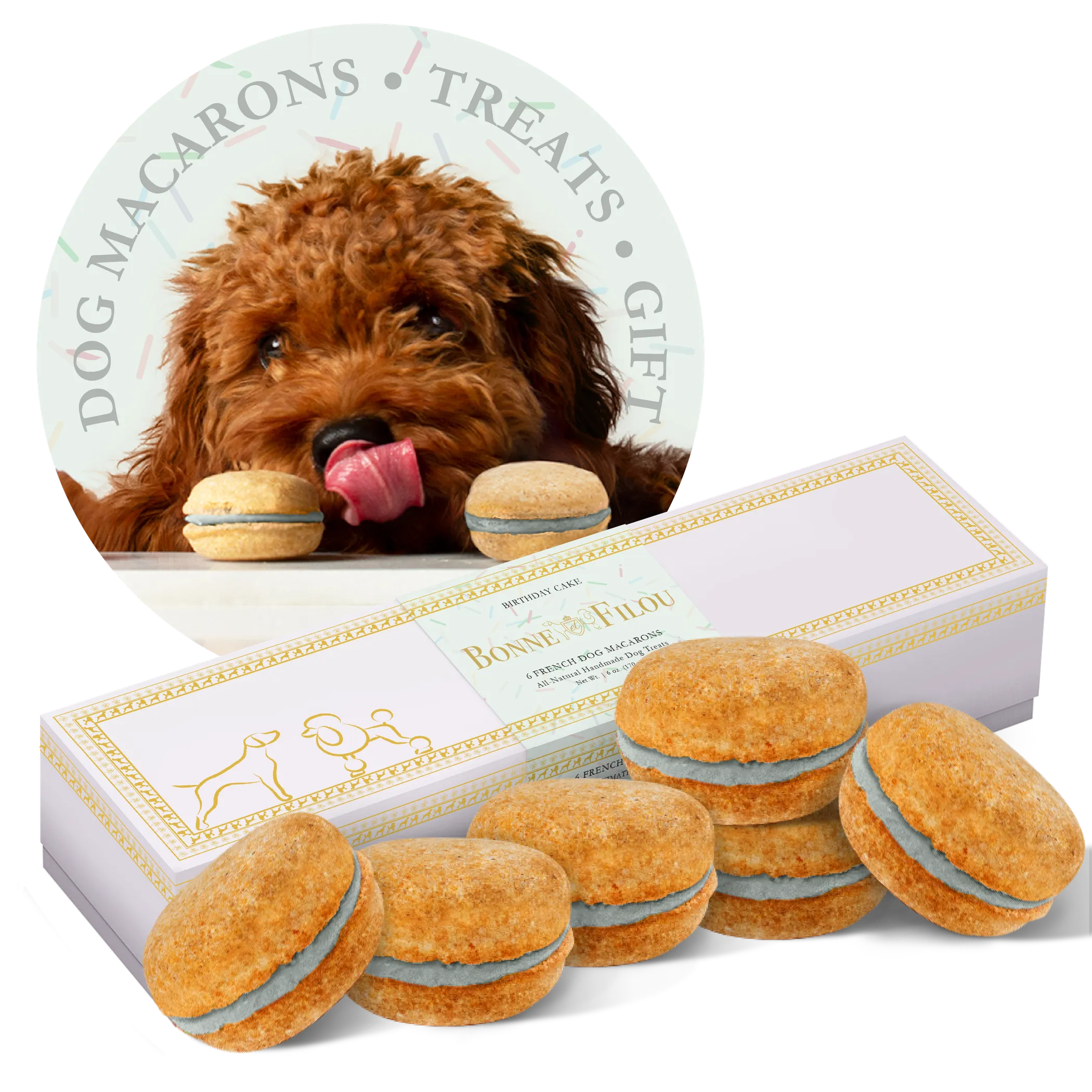 Dog Macarons - Box of 6 (Available in Multiple Flavors)