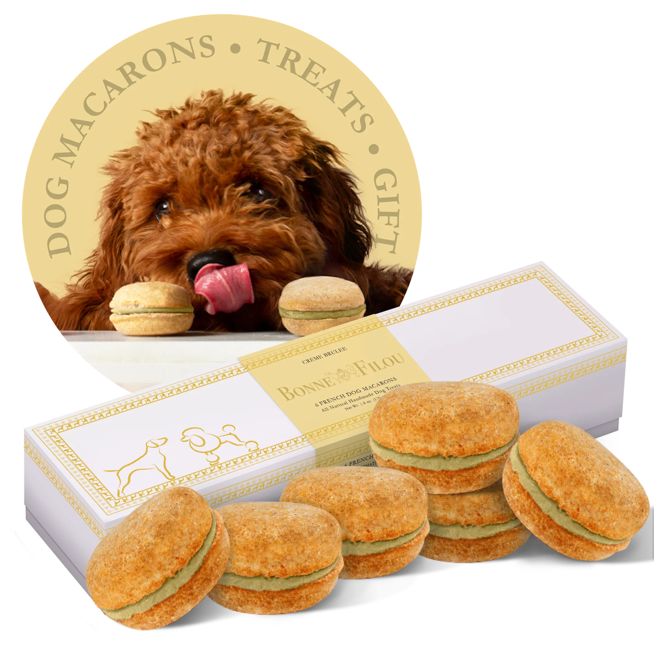 Dog Macarons - Box of 6 (Available in Multiple Flavors)