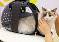 Double Window Backpack Pet Carrier