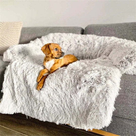 Pet Bed Dog Cat Bed