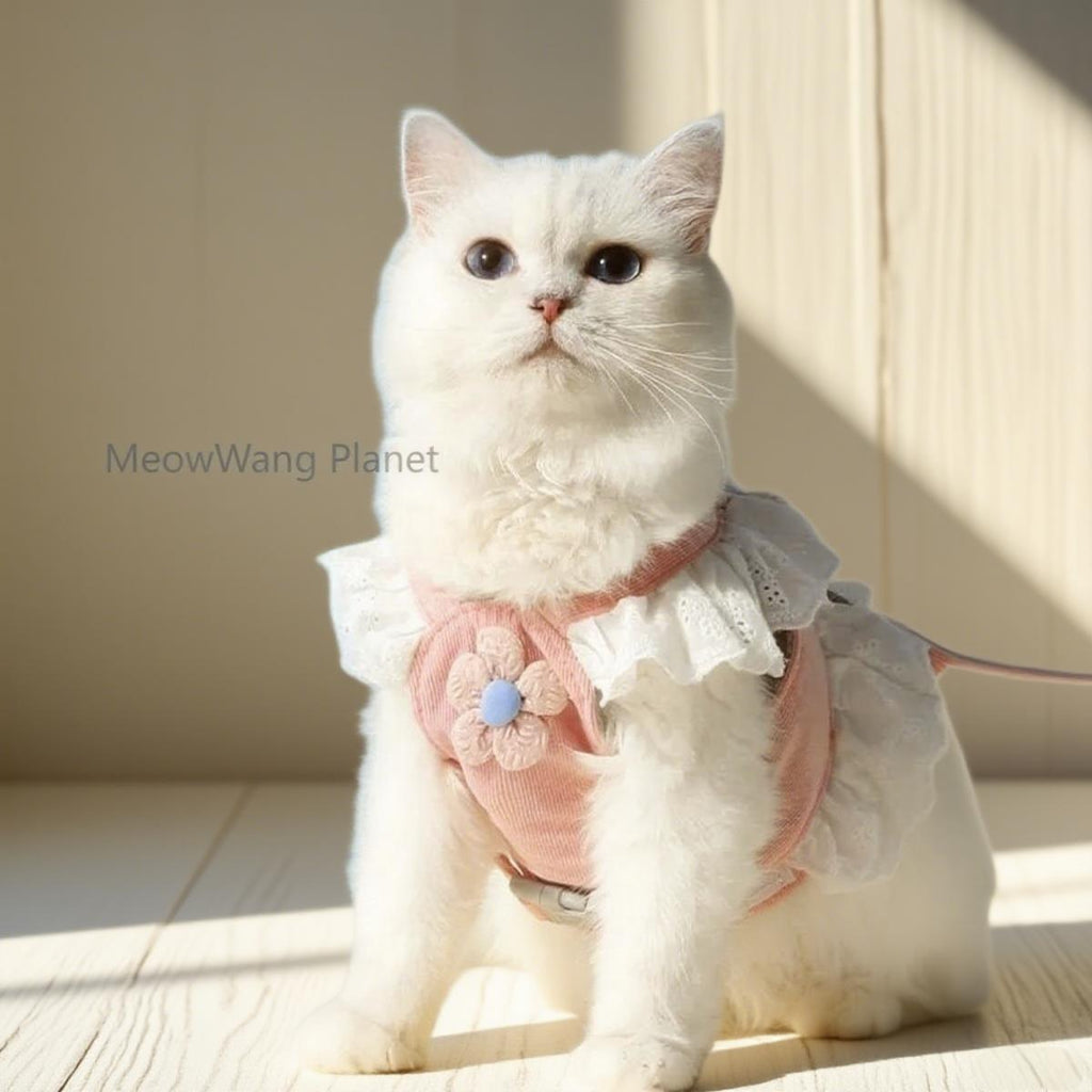 Dog Leash Cat Leash Premium Summer Pet Harness Leash Set Breathable Lightweight And Escape Proof Vest For Cats Small Dogs Adjustable Outdoor Walking Gear With Secure Leash Attachment Luxury Pet Gift F