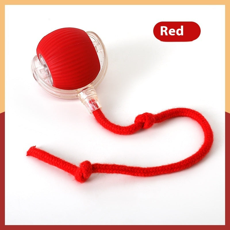 Interactive Cat Toy Rolling Ball