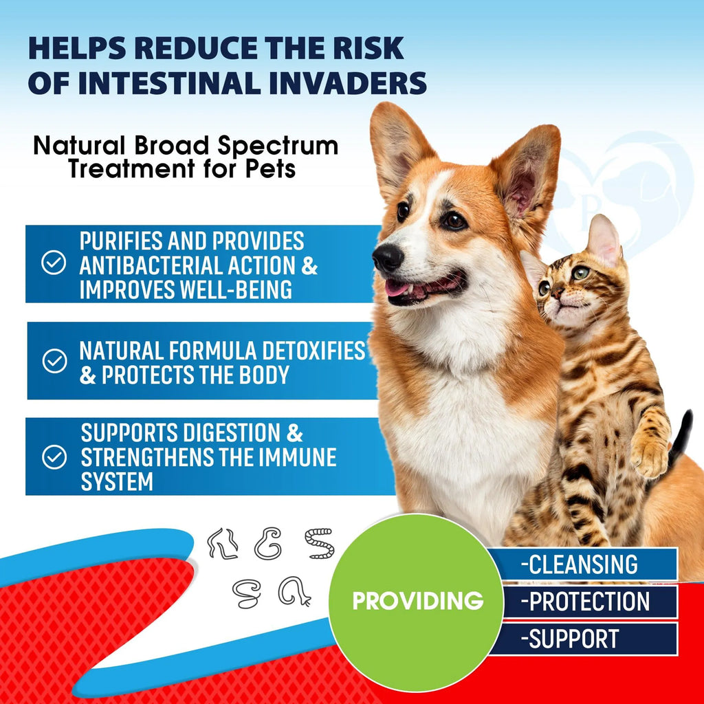 Cats & Dogs Liquid Herbal Medicine Treatment for Tapeworm, Whipworm, Roundworm and Hookworm