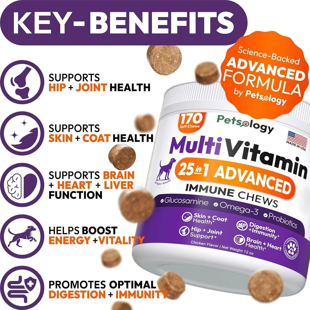 2 Pack Multivitamin Chews for Dogs 25-IN-1 Skin Coat Immune & Digestive Boost