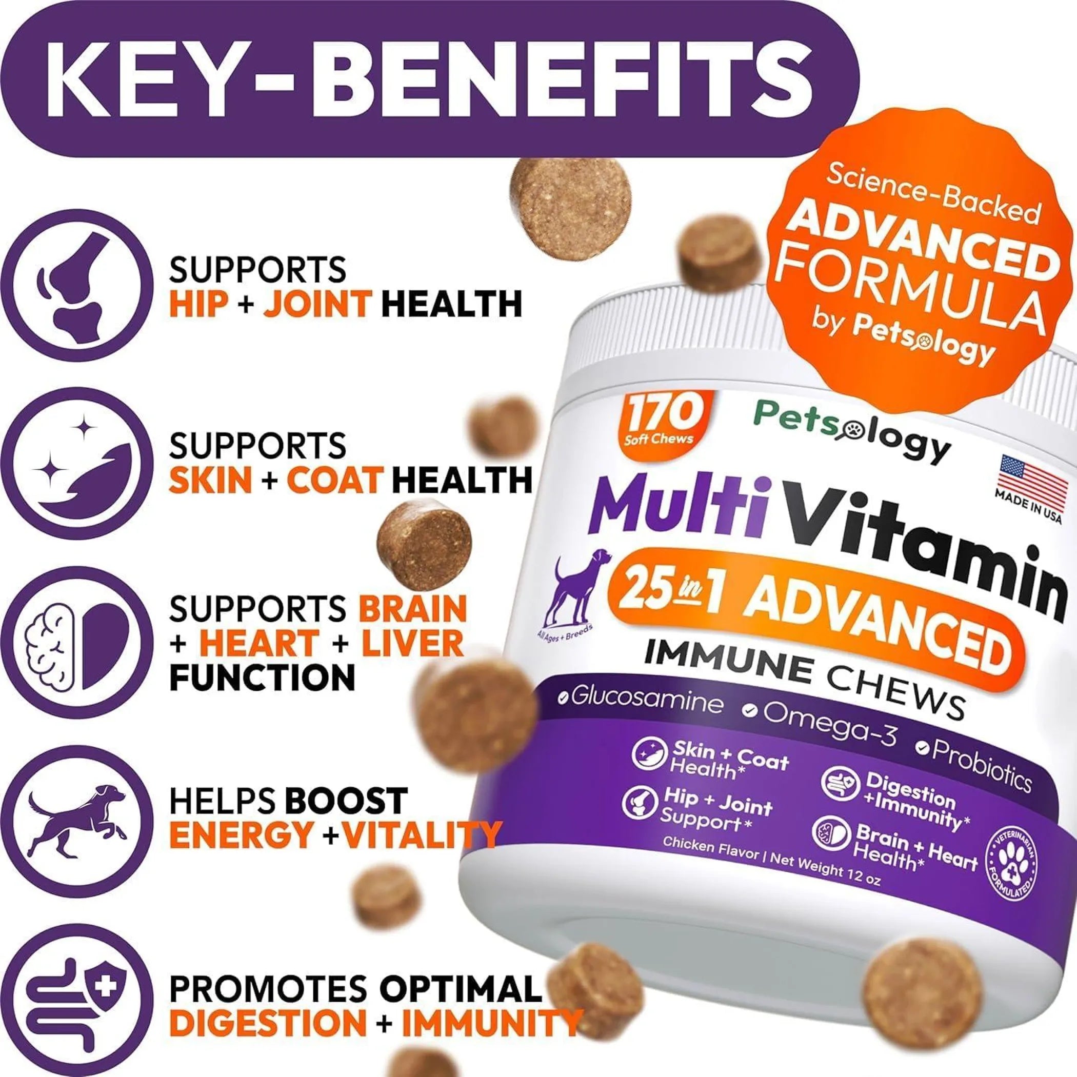 2 Pack Multivitamin Chews for Dogs 25-IN-1 Skin Coat Immune & Digestive Boost