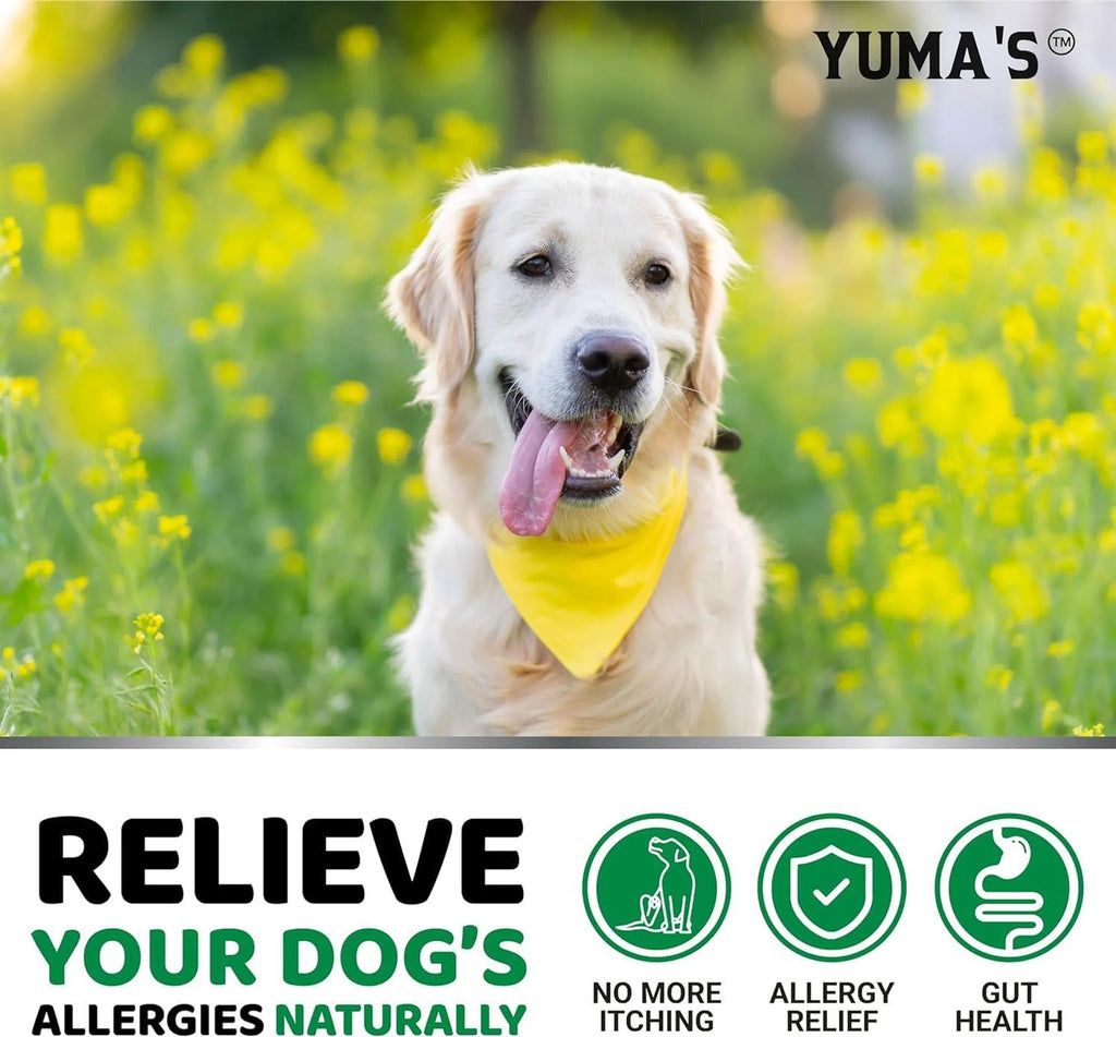 2 Pack Dog Allergy Relief Chews