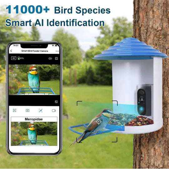 Smart Bird Feeder With Solar Powered Camera 1080P HD AI Identify PIR Motion Auto Capture Video Cloud Card Storage WiFi Connection App Control IP65 Waterproof