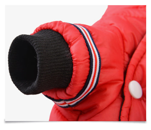 Autumn Pet Jacket