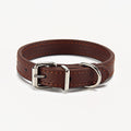 Colorful Pet Collar