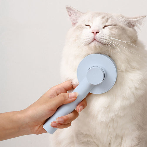 Cat Comb Hair Brush