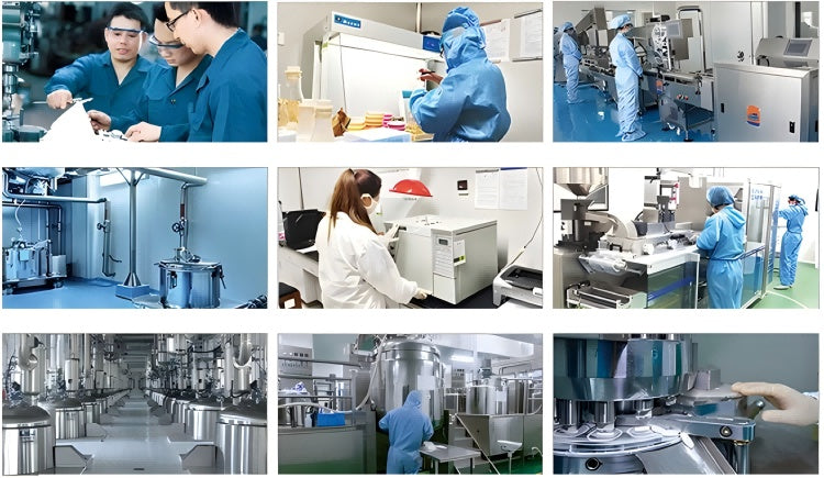 OEM Hot Sales Probiotics Chews For Pets Customized Shape