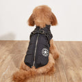 Warm Dog Jacket - Cotton Padded Fleece Lined Reflective