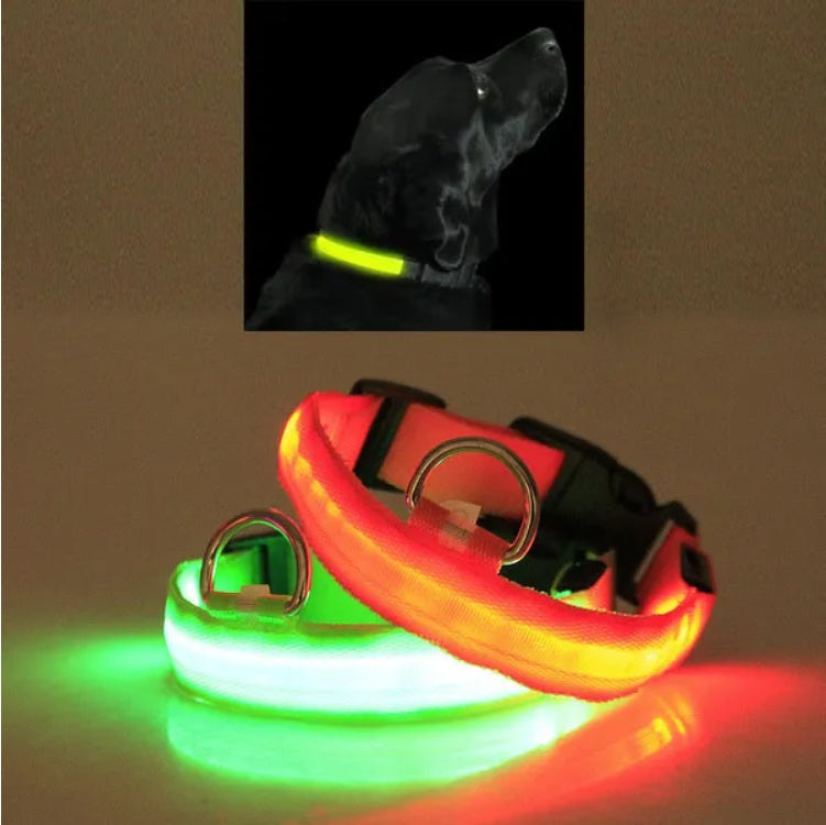 LED Pet Collar Halo Style