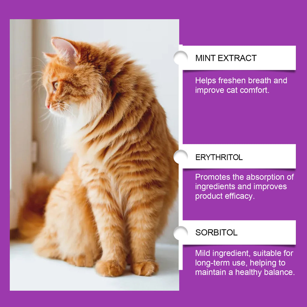 Cat Daily Care Vitamin Supplement