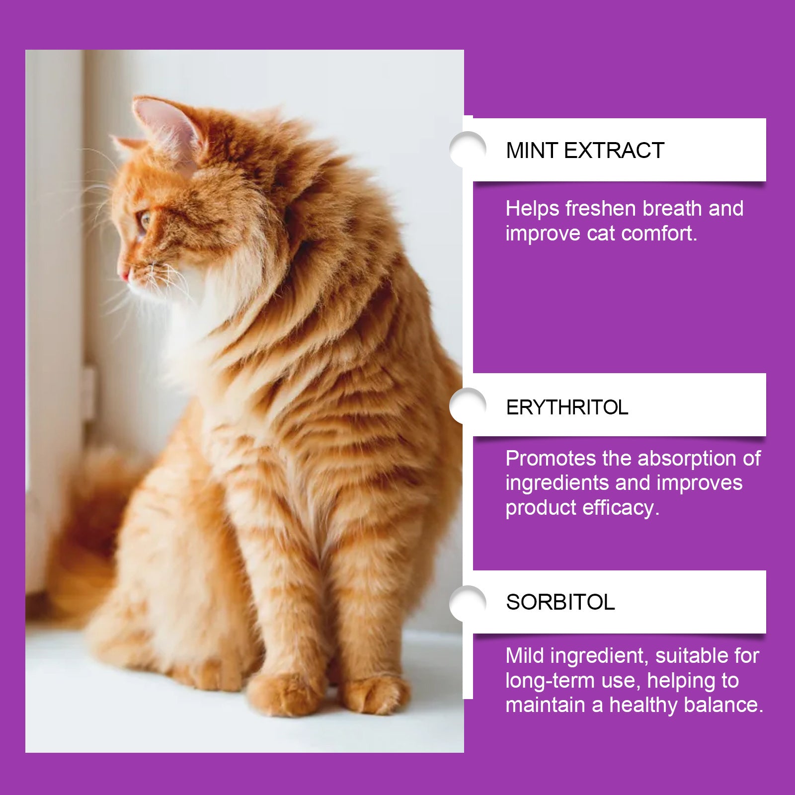 Cat Daily Care Vitamin Supplement