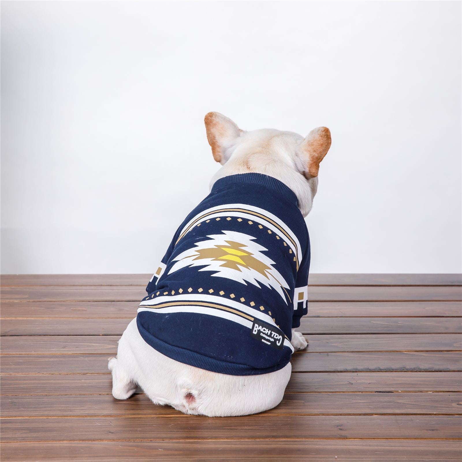 Clothes for pets Dog clothes