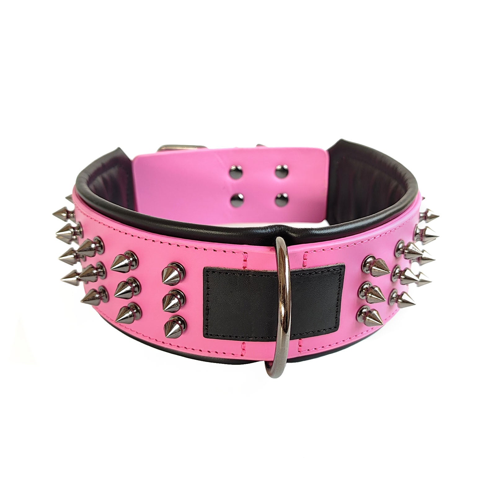 Leather Dog Collar with Spikes