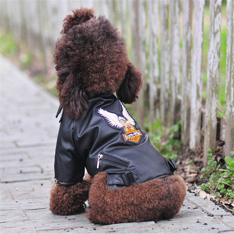 Small Dog Sticker Embroidered Eagle Leather Jacket