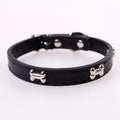 Fashionable PU Dog Collar