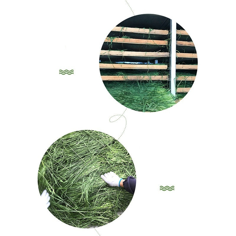 Pet  Food Dried Timothy FCL Hay Snacks Feed Chinchilla Guinea Pig Food Rabbits Food