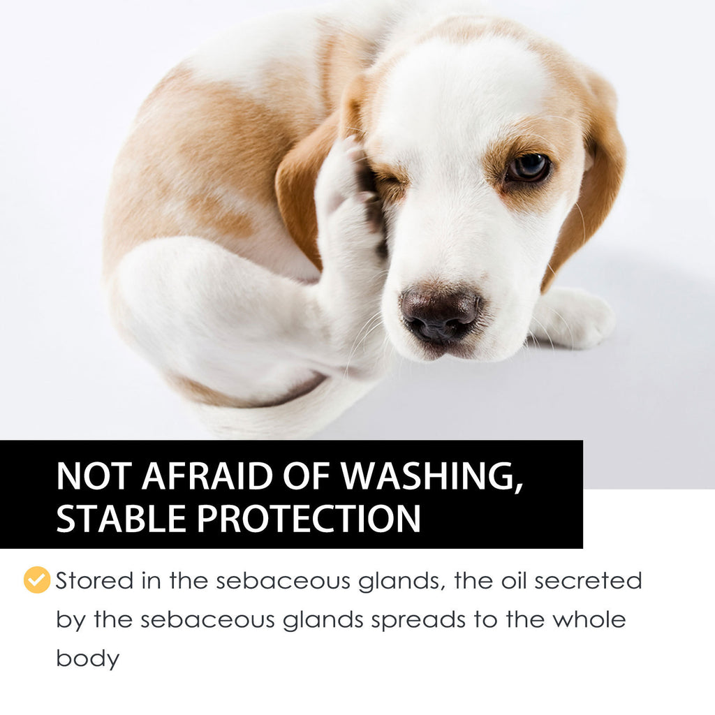 Pet Insect Repellent External Drops