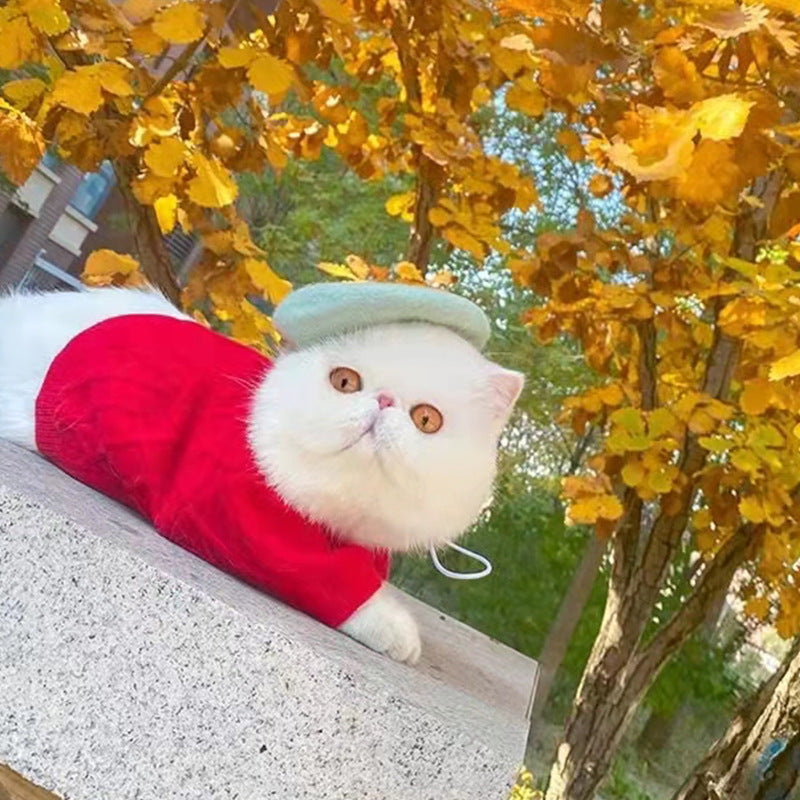 Multicoloured Spring Summer Breathable Pet Products Pet Hat