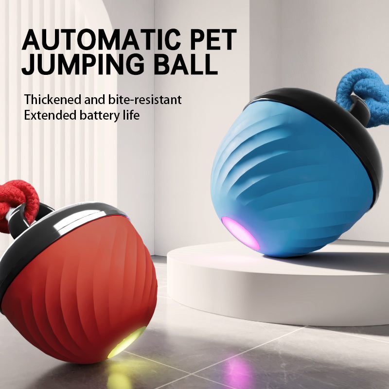 Interactive Moving Ball Pet Toy USB