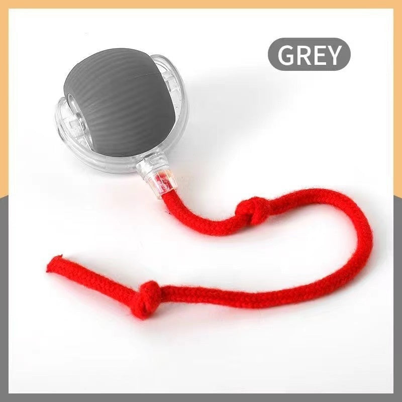 Smart Rolling Cat Toy