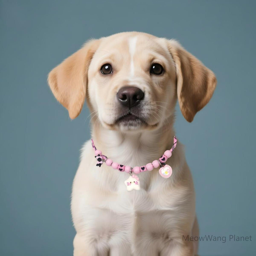 Uxury Adjustable Pet Collar Minimalist Durable Necklace Style For Cats Small Medium Dogs Luxury Gift