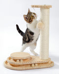 Wood Cat Scratching Post with Ball Track Toy