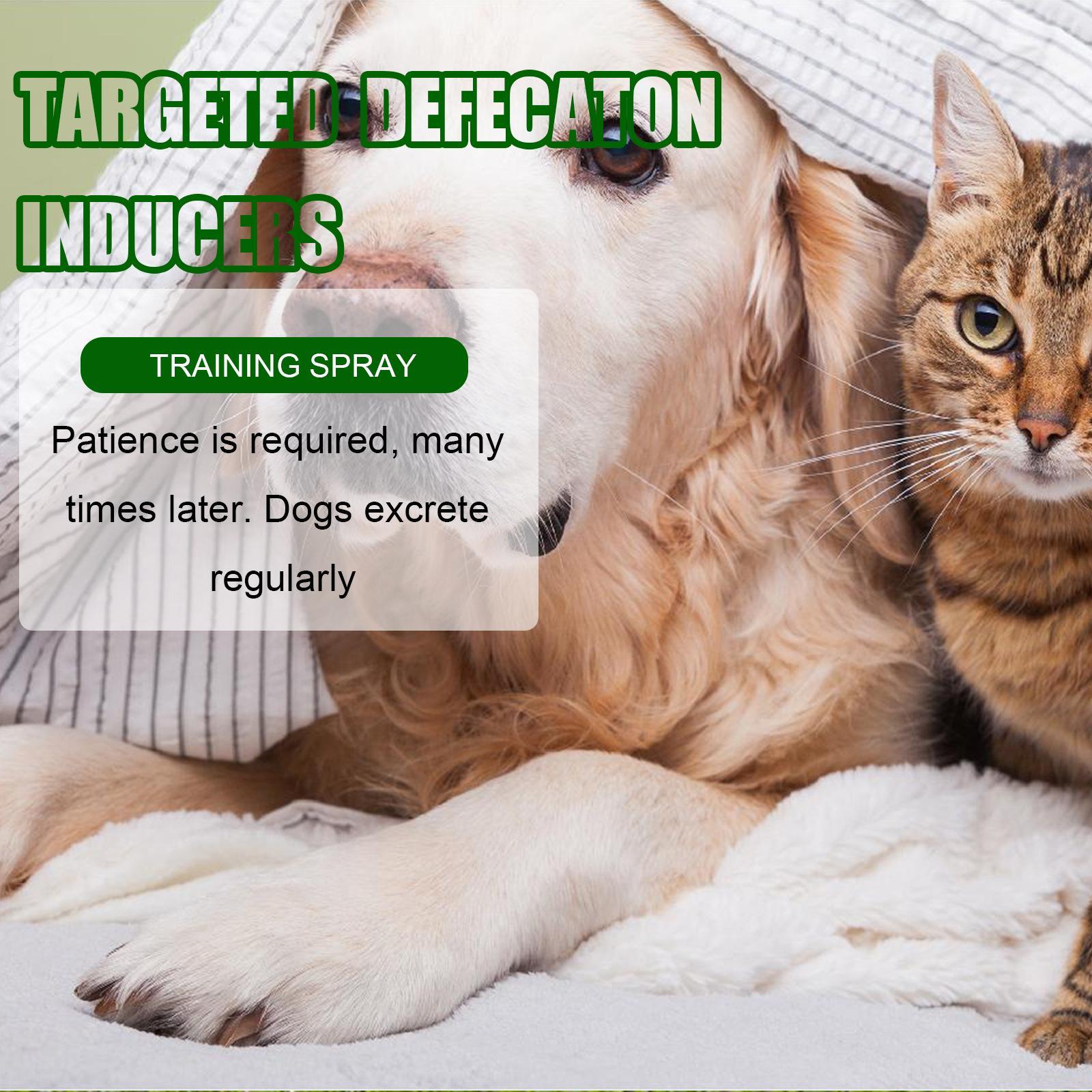 Yibang Pet Positioning Defecation Inducer Pet Toilet Inducer Urine Locator Toilet Training Agent