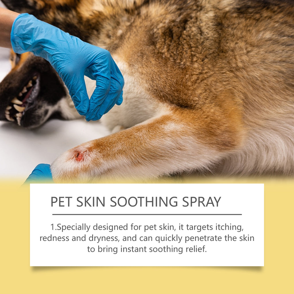 Pet Skin Soothing Spray Gentle Relief
