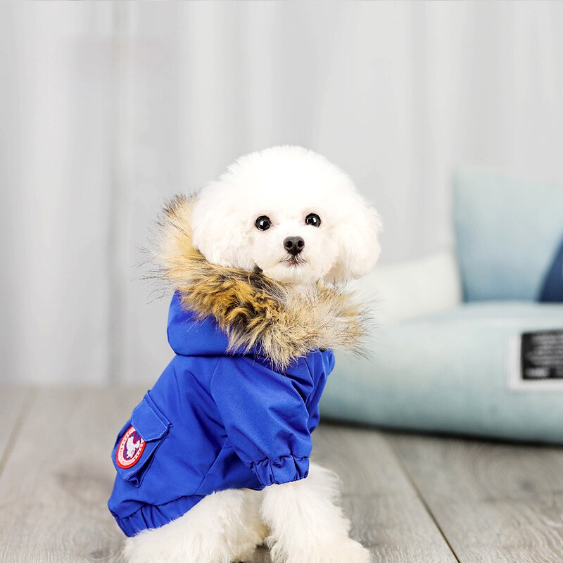 Dog Jacket Wool Hat Cotton Clothes