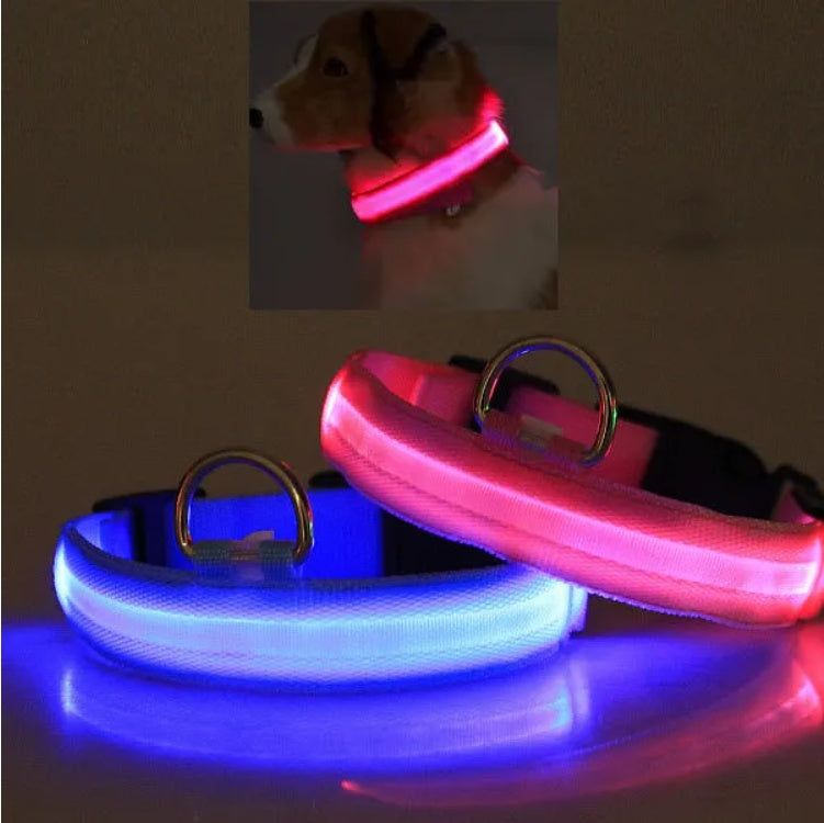 LED Pet Collar Halo Style